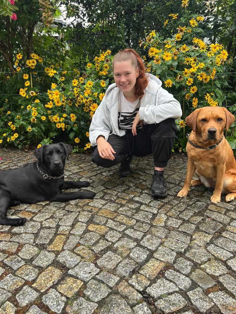 Kleintierpraxis - Dr. Med. Vet. Antje Schadt Unser Team - Kleintierpraxis Dr. Schadt in Dresden Striesen